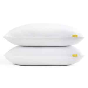 Snug Blissful Bedtime Pillow Pair