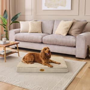Silentnight Firm Support Crate Mattress - Natural