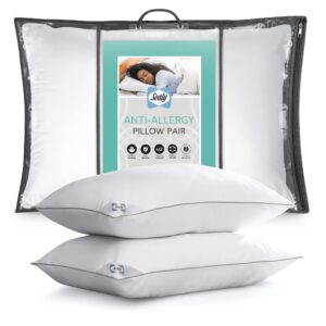 Sealy Anti-Allergy Pillows 2 Pack
