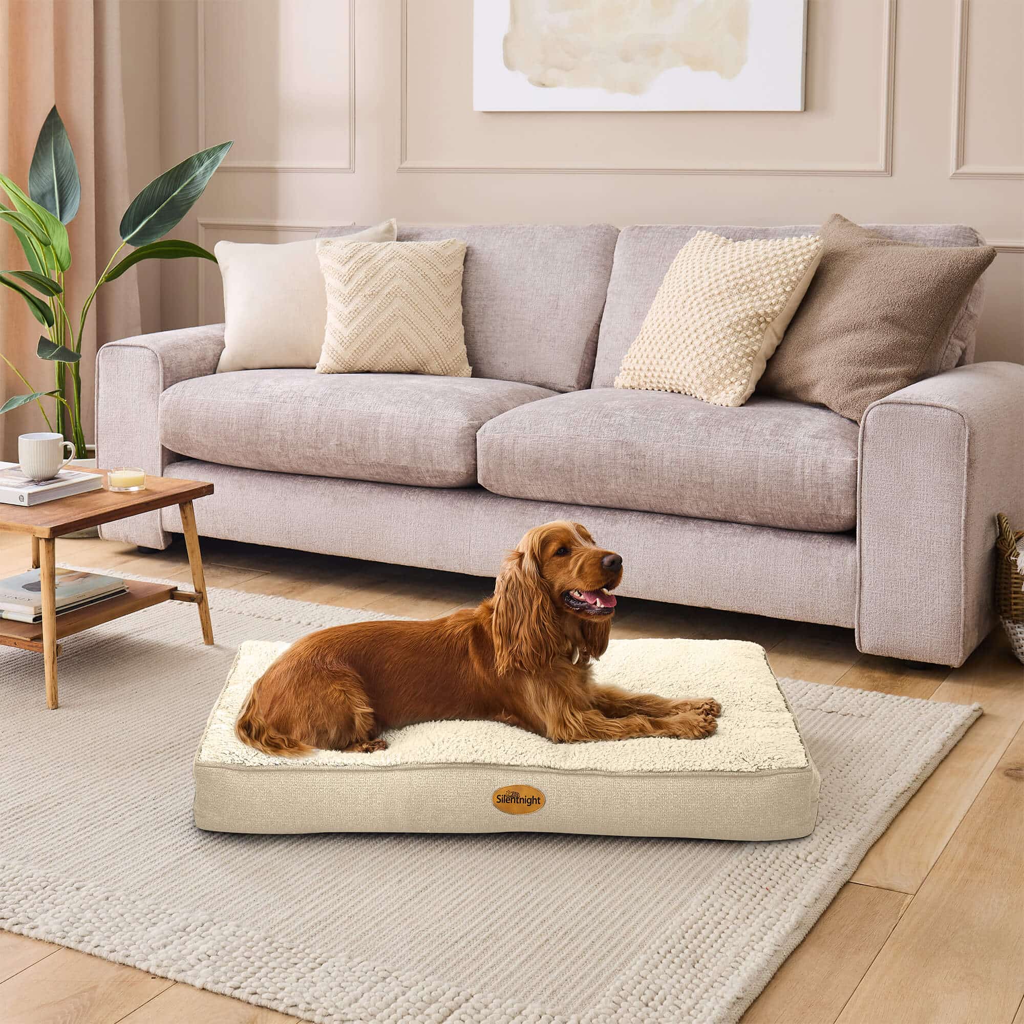 Silentnight Ultrabounce Pet Bed - Natural-image-592239GE