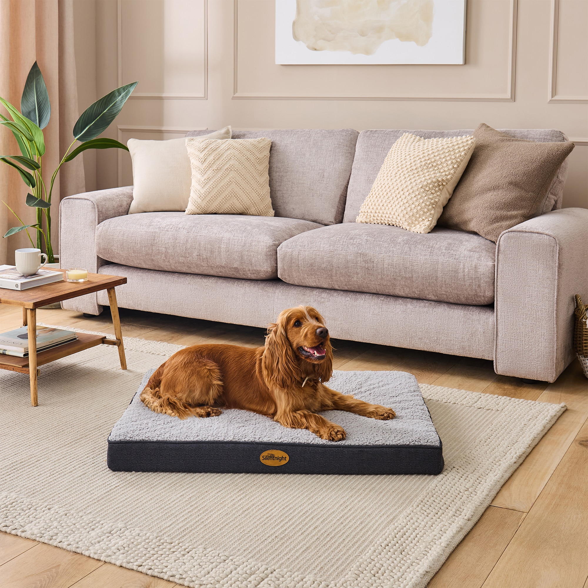 Silentnight Firm Support Crate Mattress Pet Bed-image-581950GE