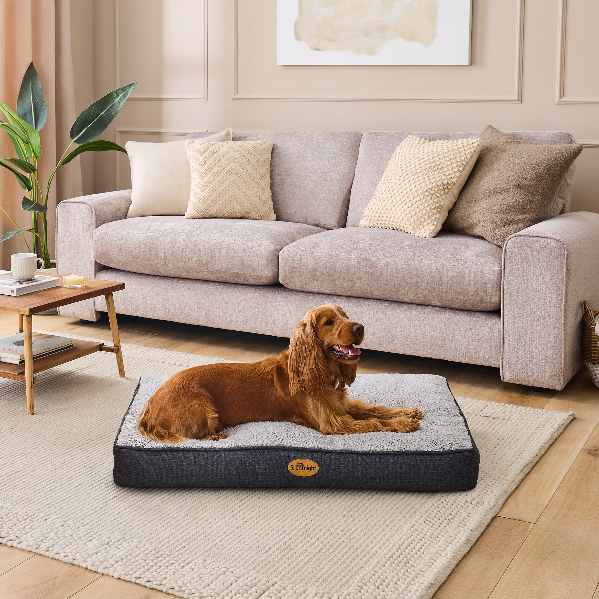 Silentnight Ultrabounce Pet Bed – Grey-image-583060GE