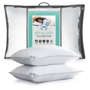 Sealy Anti-Allergy Pillows 2 Pack